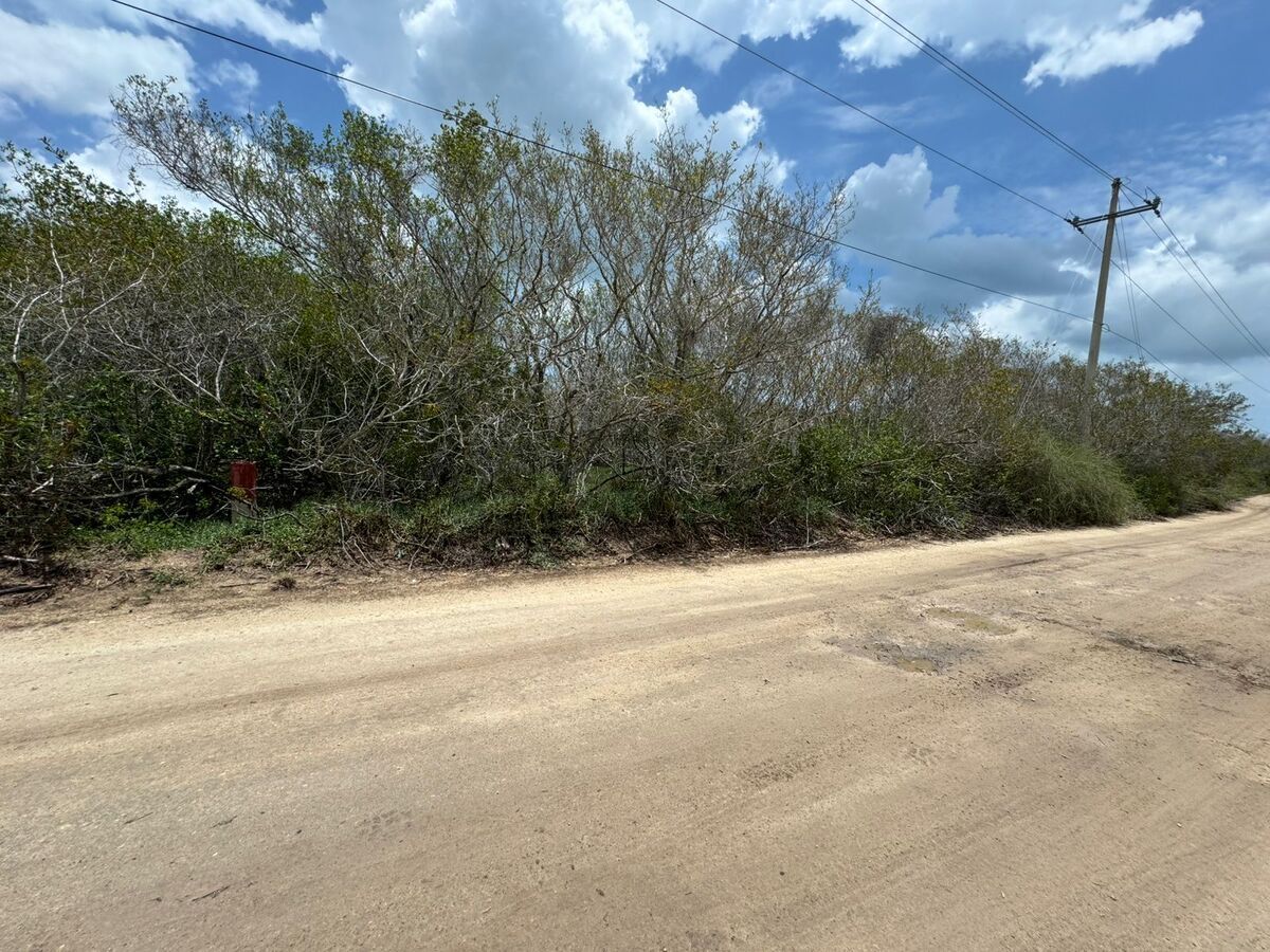 TERRENO EN VENTA FRENTE AL MAR UBICADO EN SISAL - foto 1