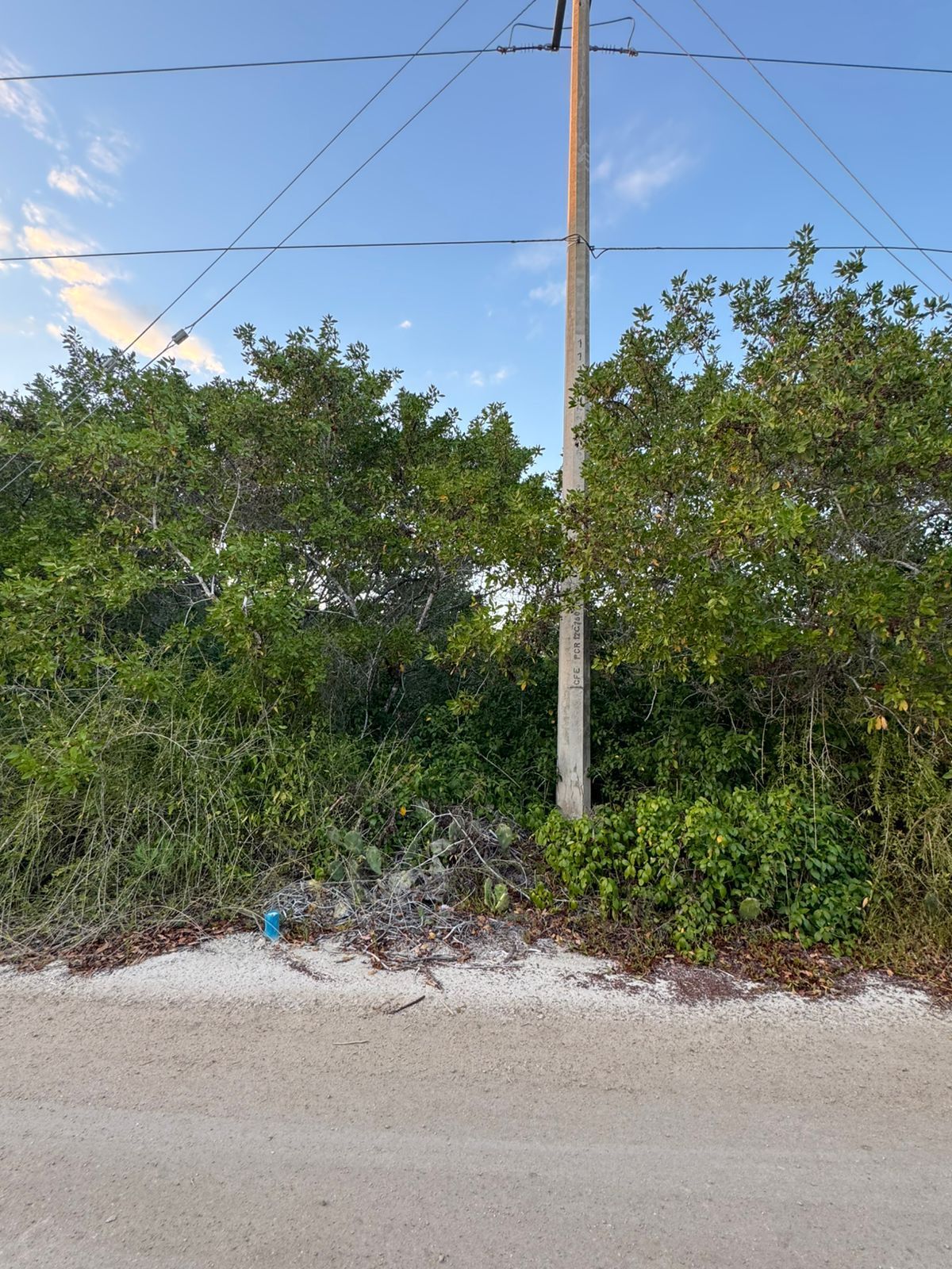 TERRENO EN VENTA FRENTE AL MAR UBICADO EN SISAL - foto 2
