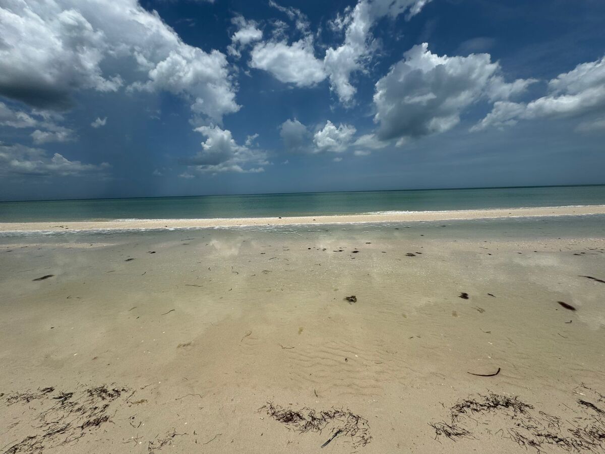 TERRENO EN VENTA FRENTE AL MAR UBICADO EN SISAL - foto 4