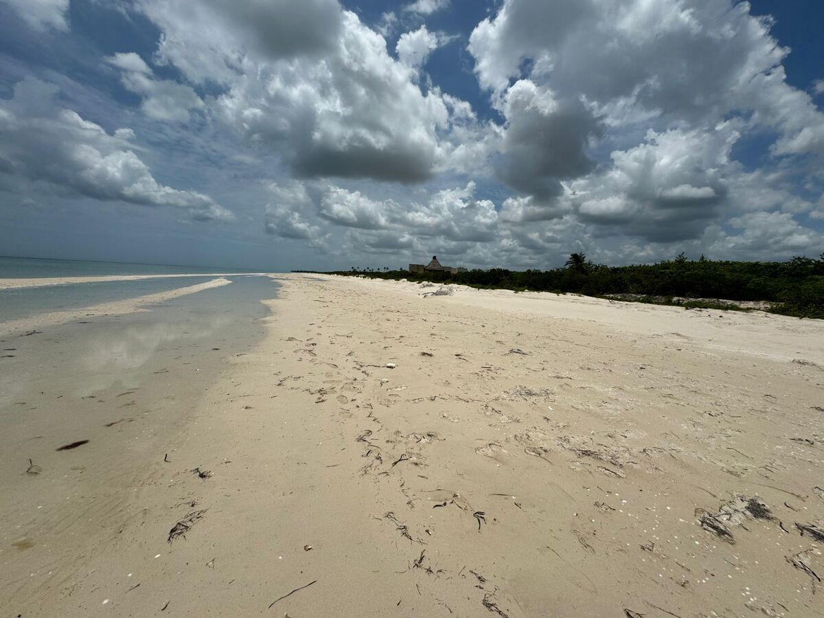TERRENO EN VENTA FRENTE AL MAR UBICADO EN SISAL - foto 5