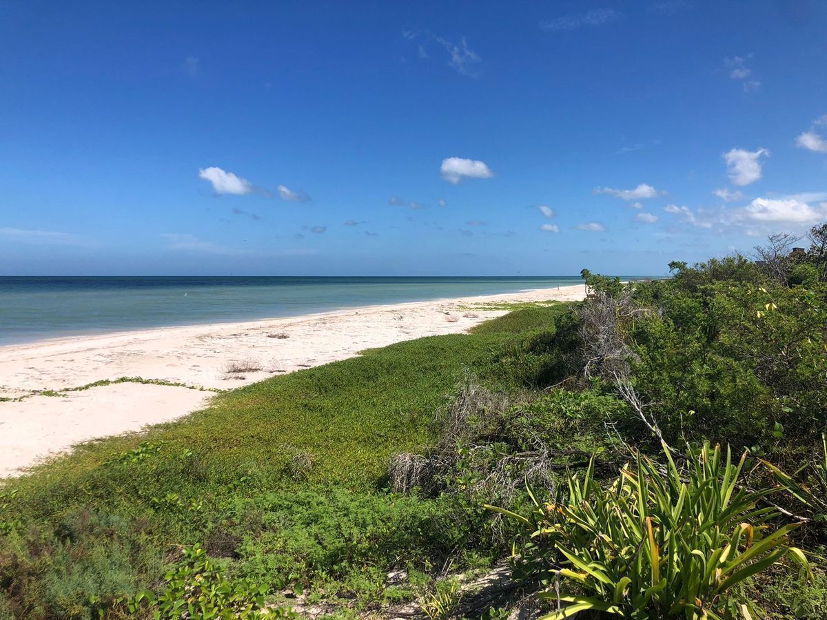 EN VENTA TERRENO UBICADO EN SISAL FRENTE AL MAR