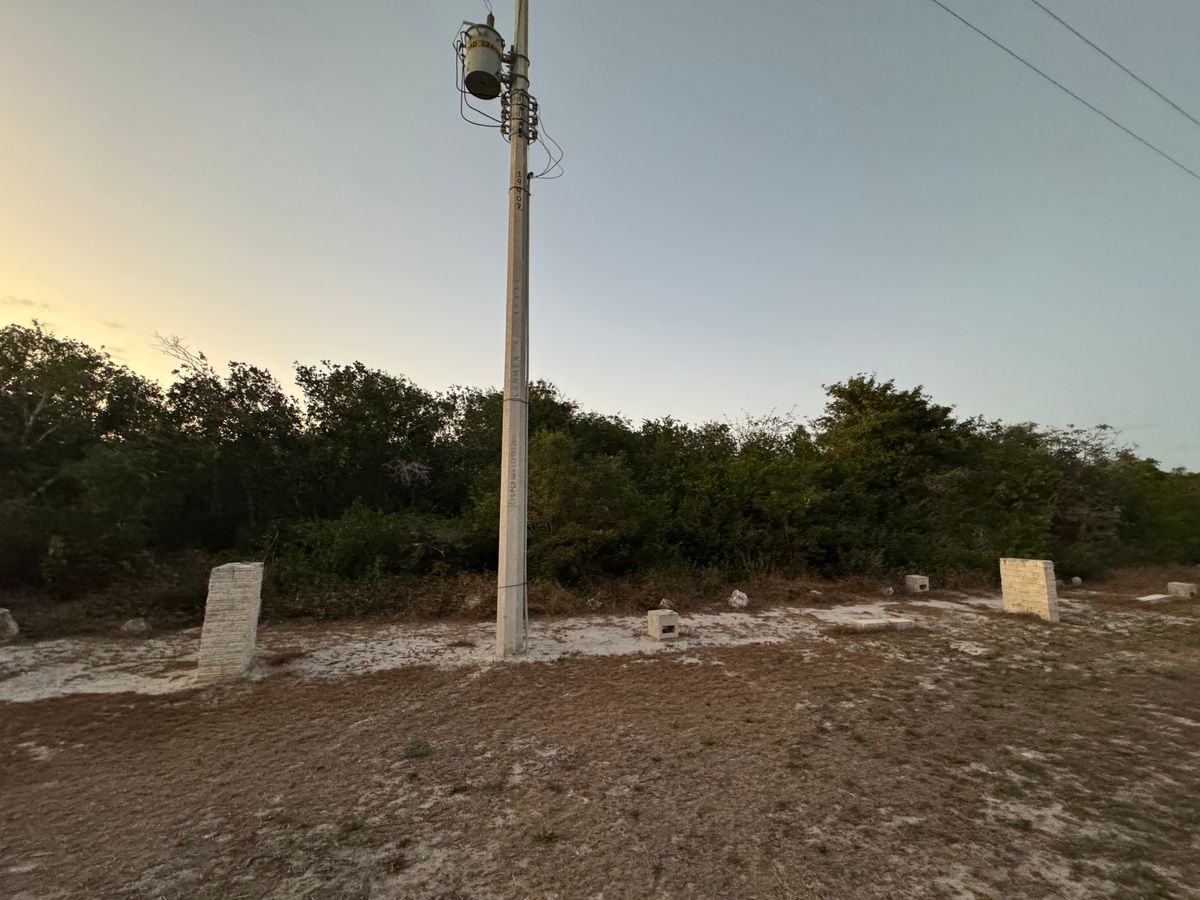 EN VENTA TERRENO UBICADO EN SISAL FRENTE AL MAR - foto 5