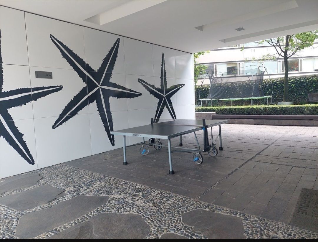 14 de 16: Ping-pong