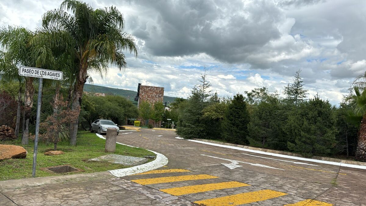 2 de 6