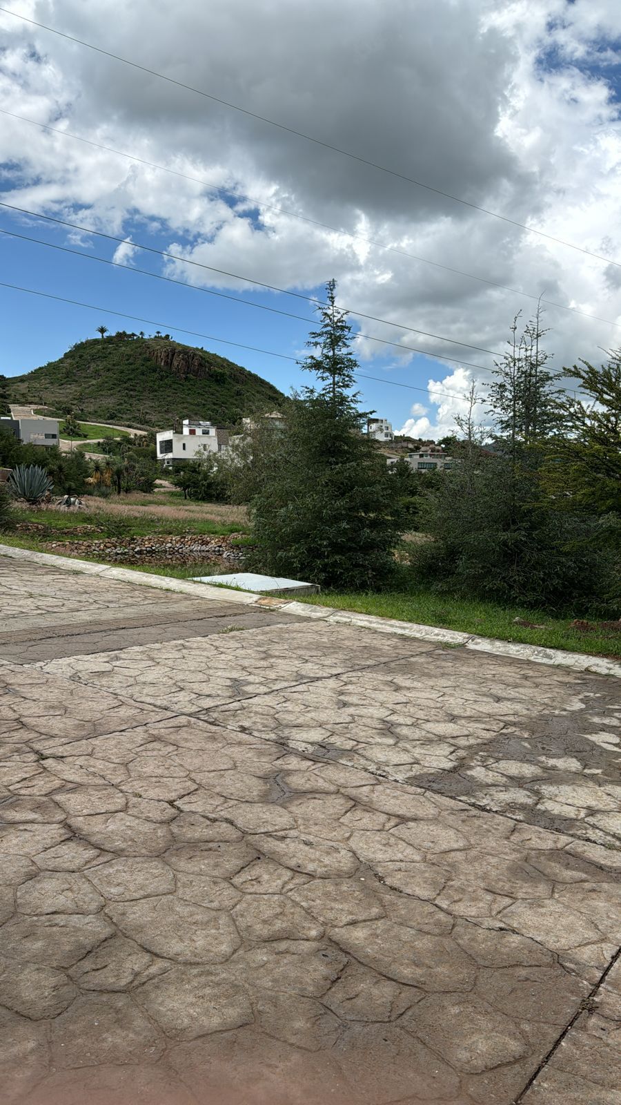 5 de 6