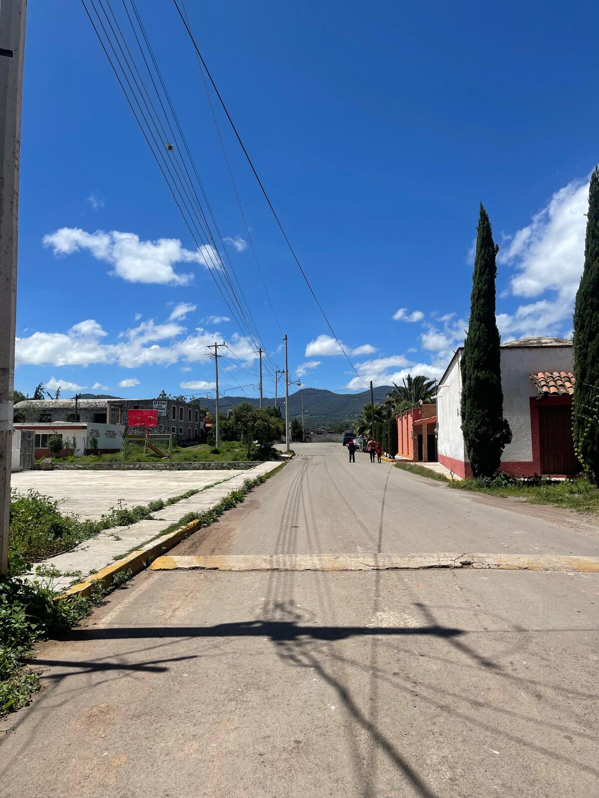 3 de 6
