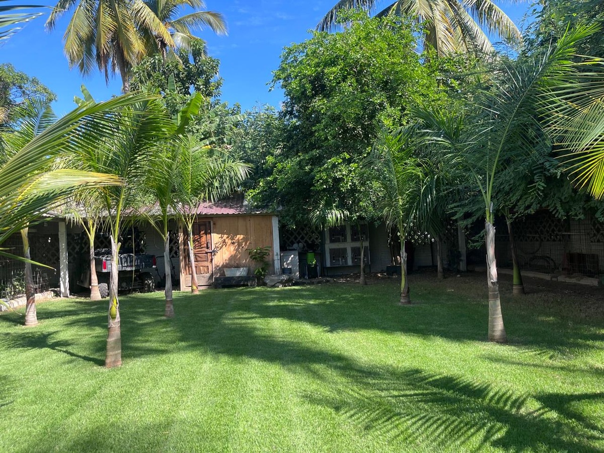 5 of 42: Vista de atrás hacia la casa