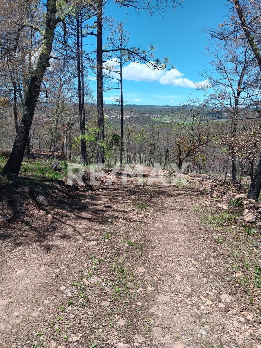 Terreno en Venta en Pedregal del Bosque
