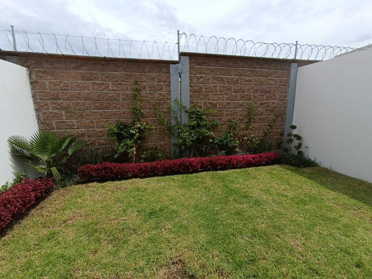 4 de 24