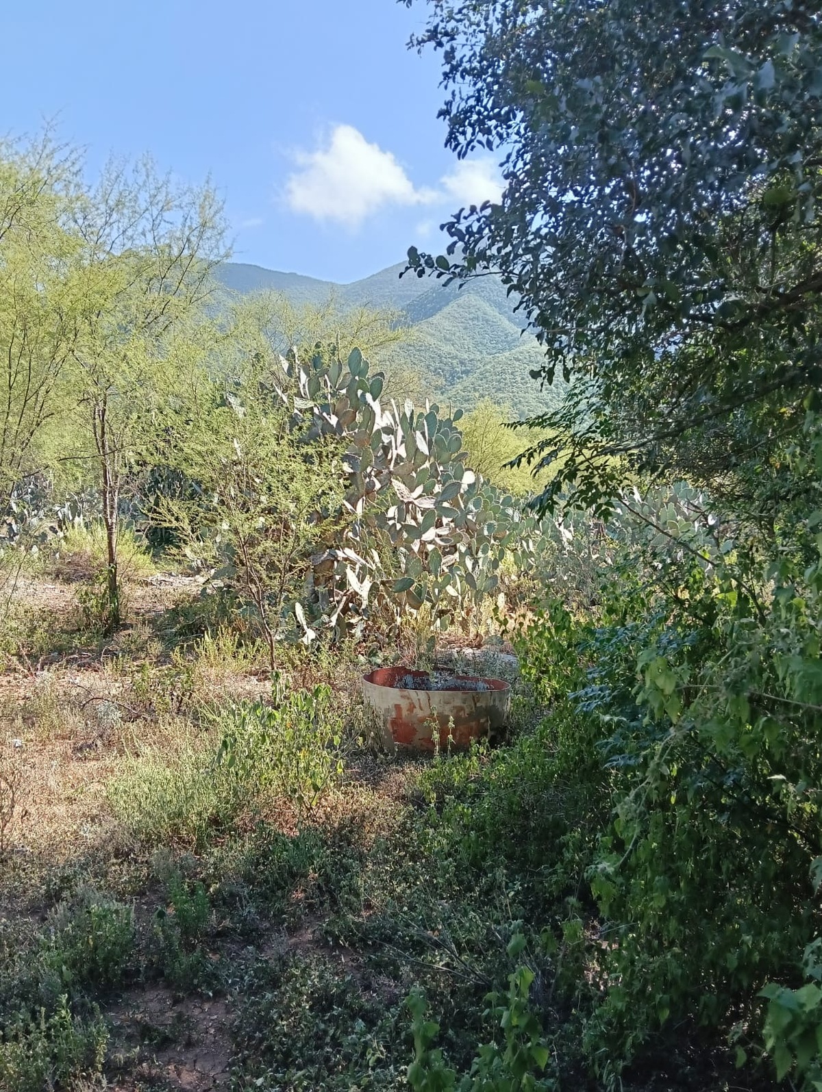 6 de 8