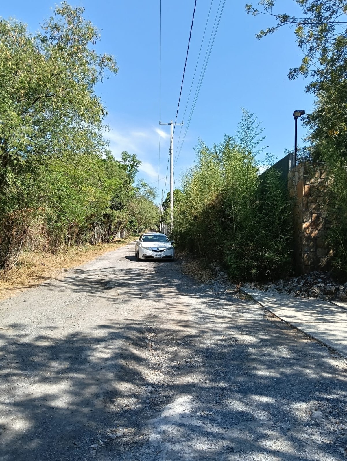 7 de 8