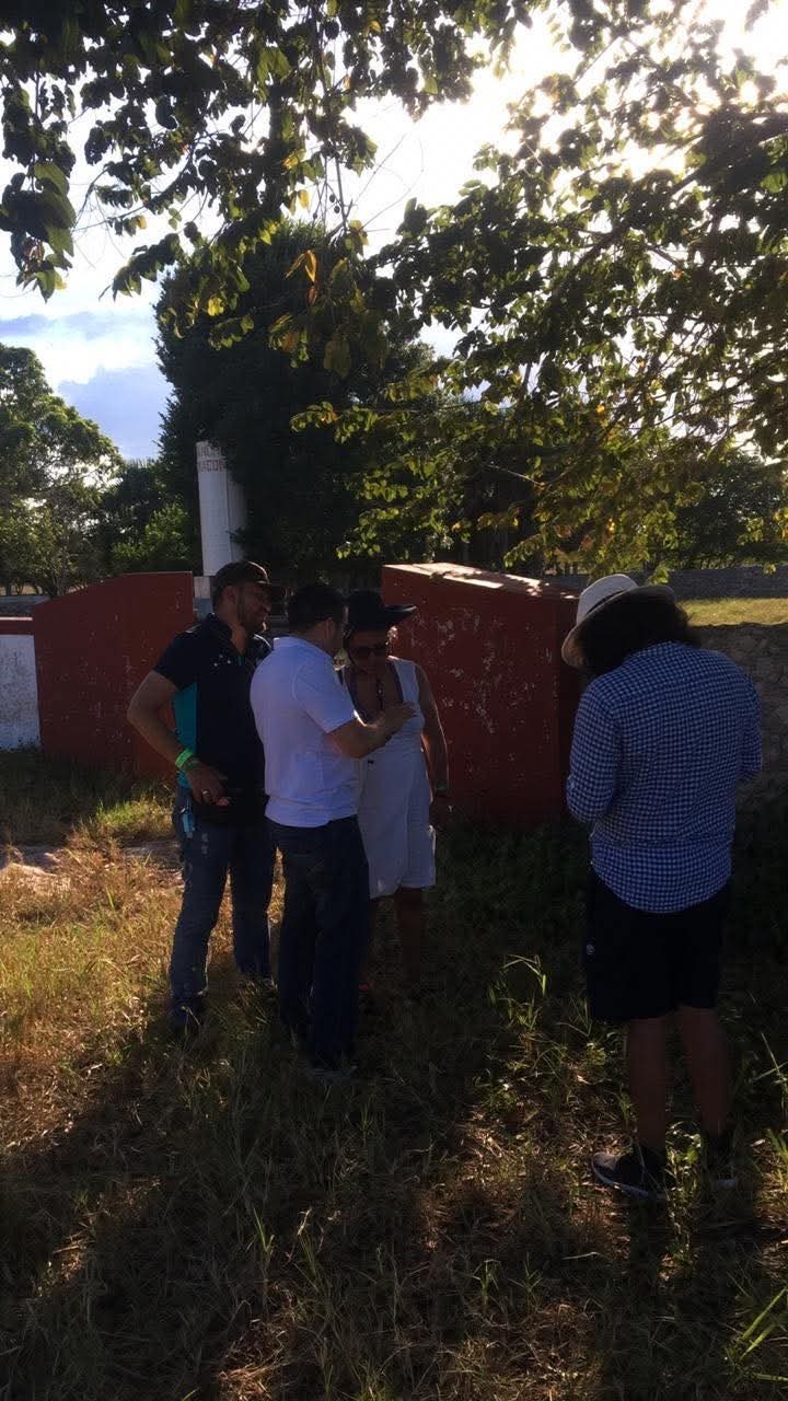 6 de 10