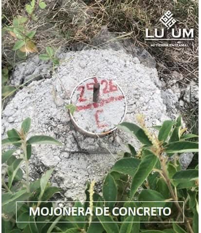 8 de 10