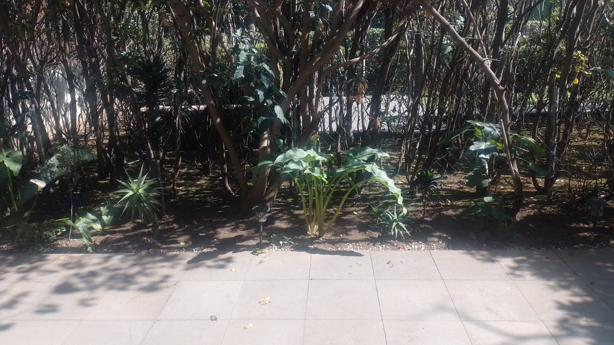 26 de 26