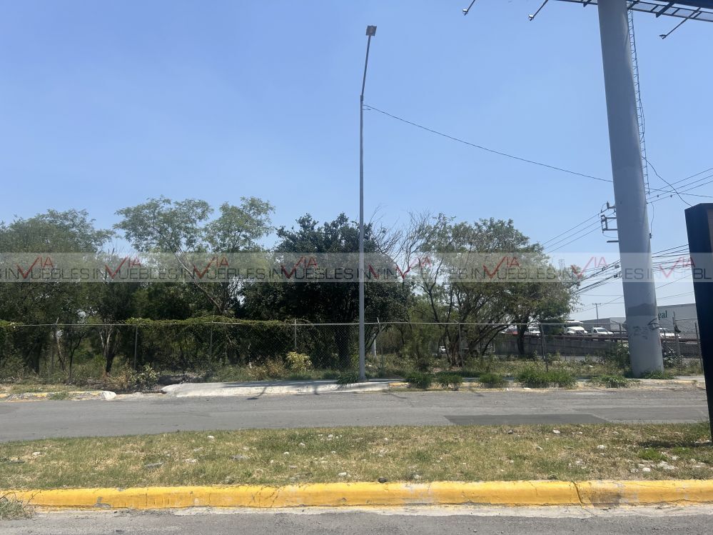 8 de 16