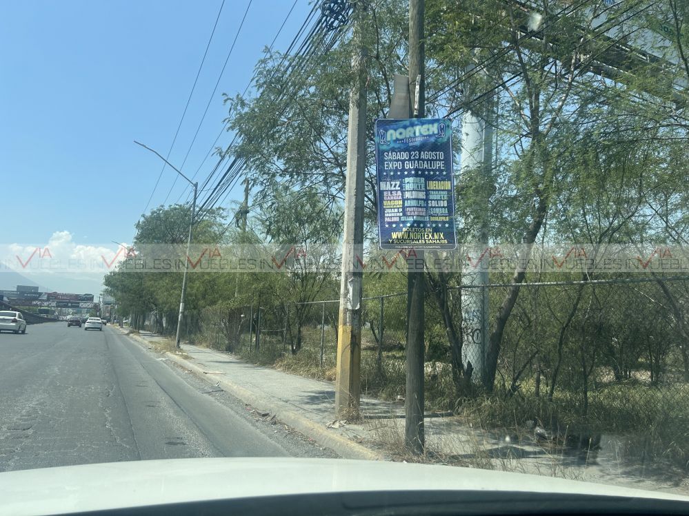 14 de 16