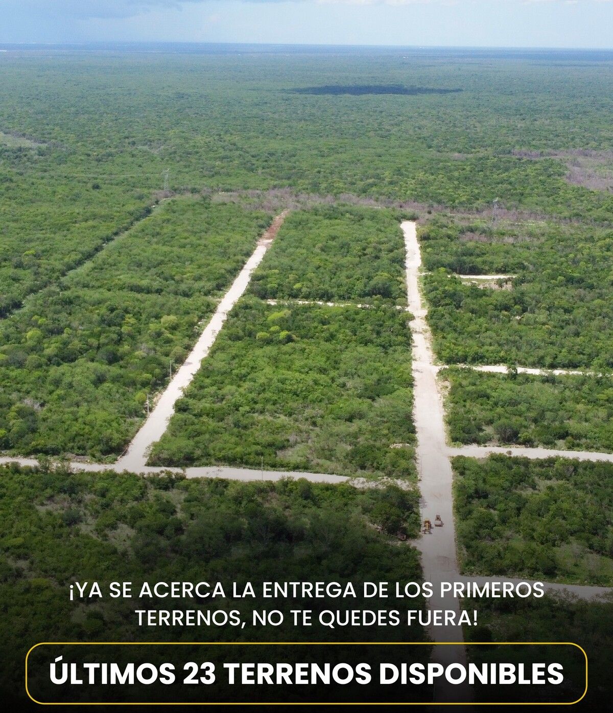 1 de 5
