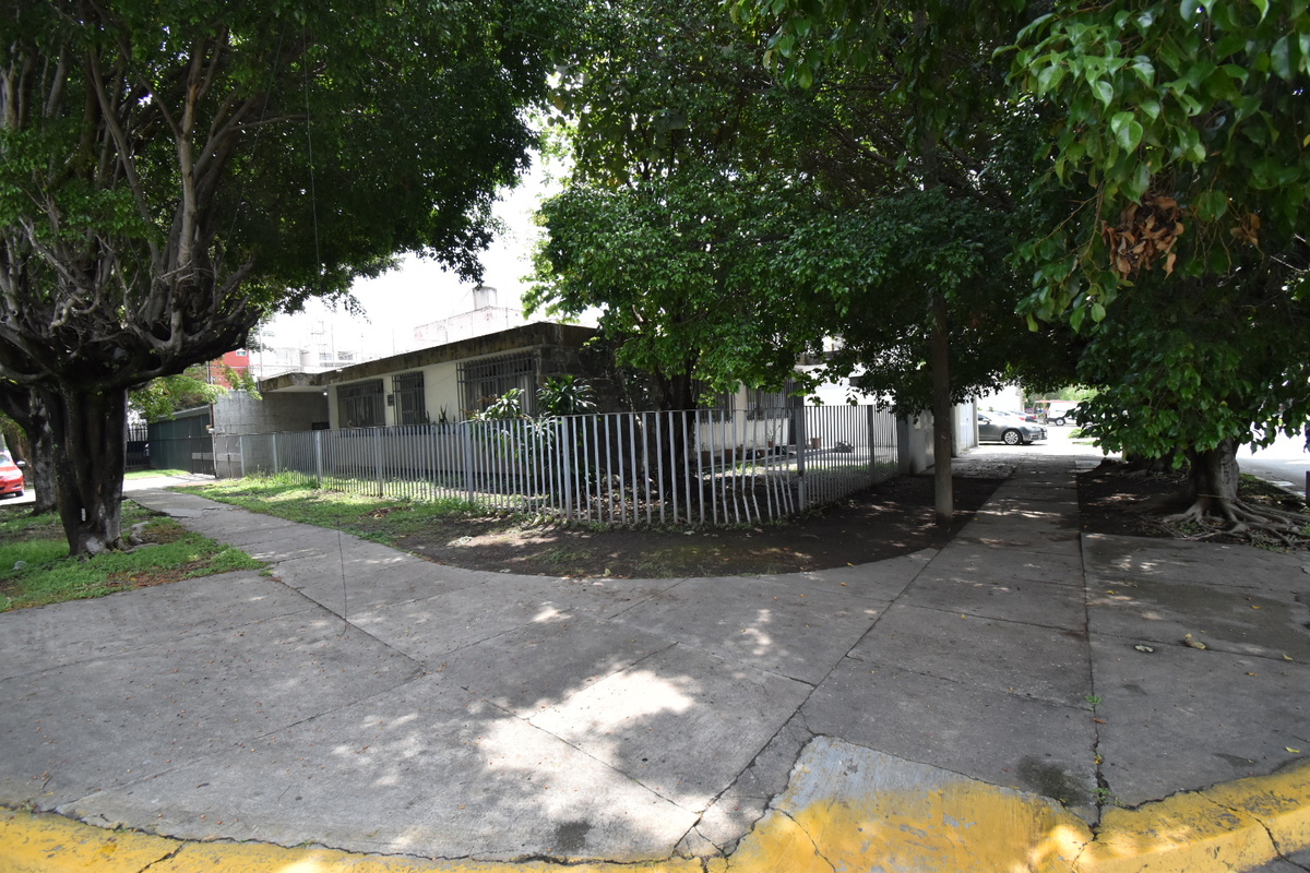 5 de 31