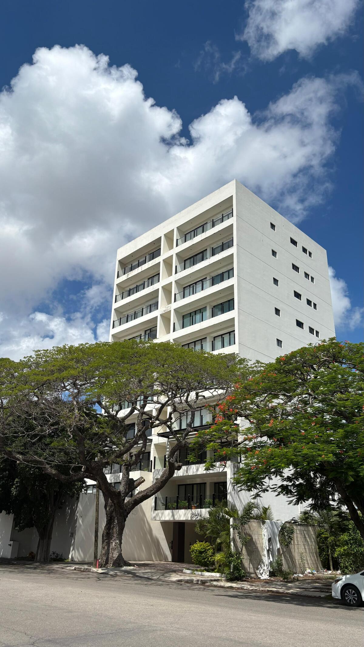 1 de 10