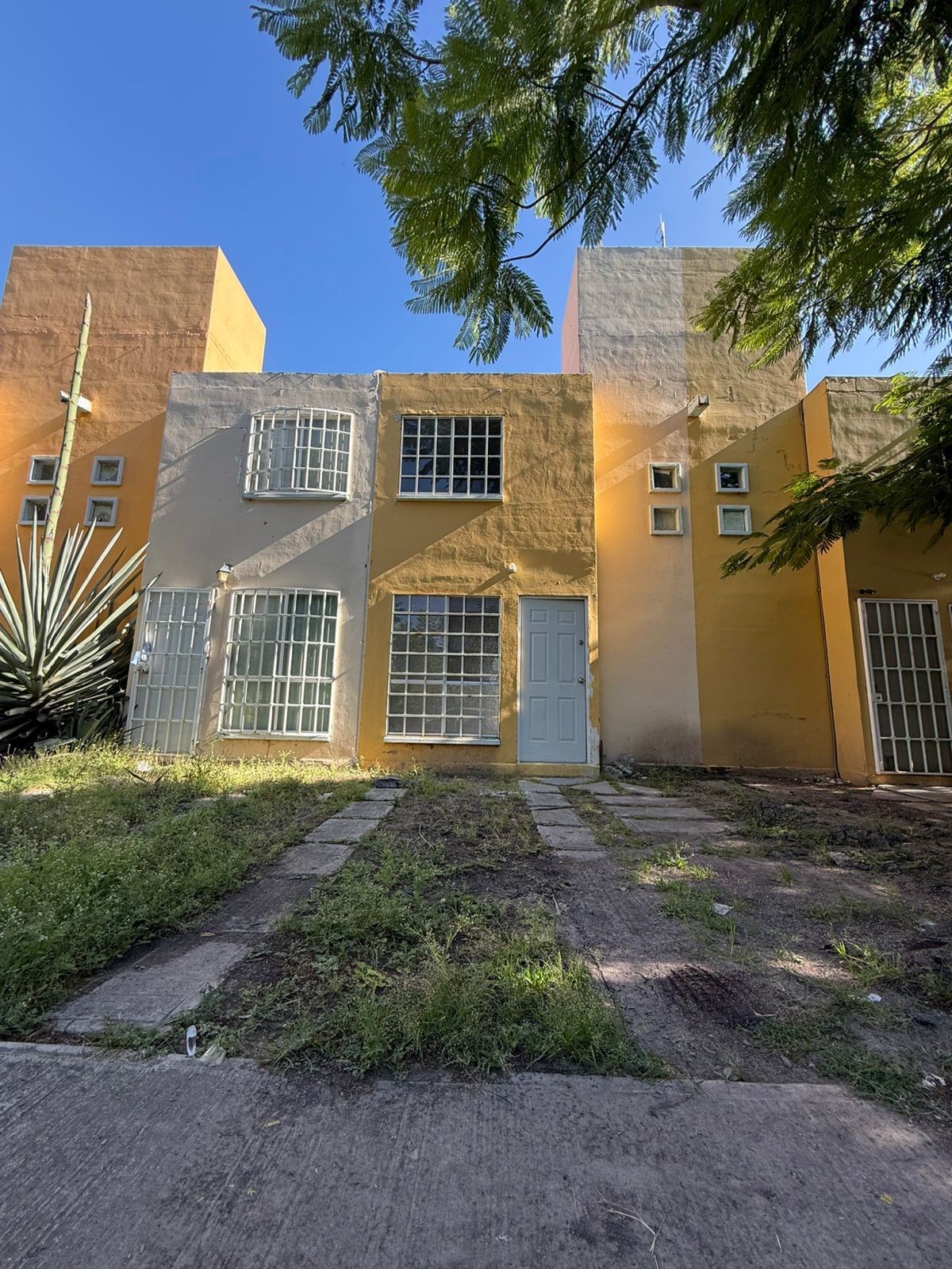 1 de 11