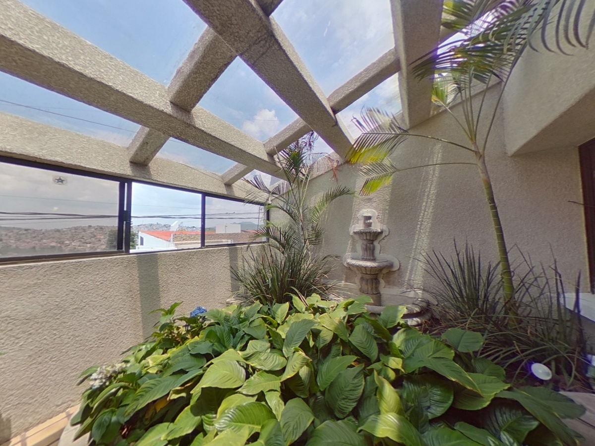 9 de 41: jardín interior con fuente y domo