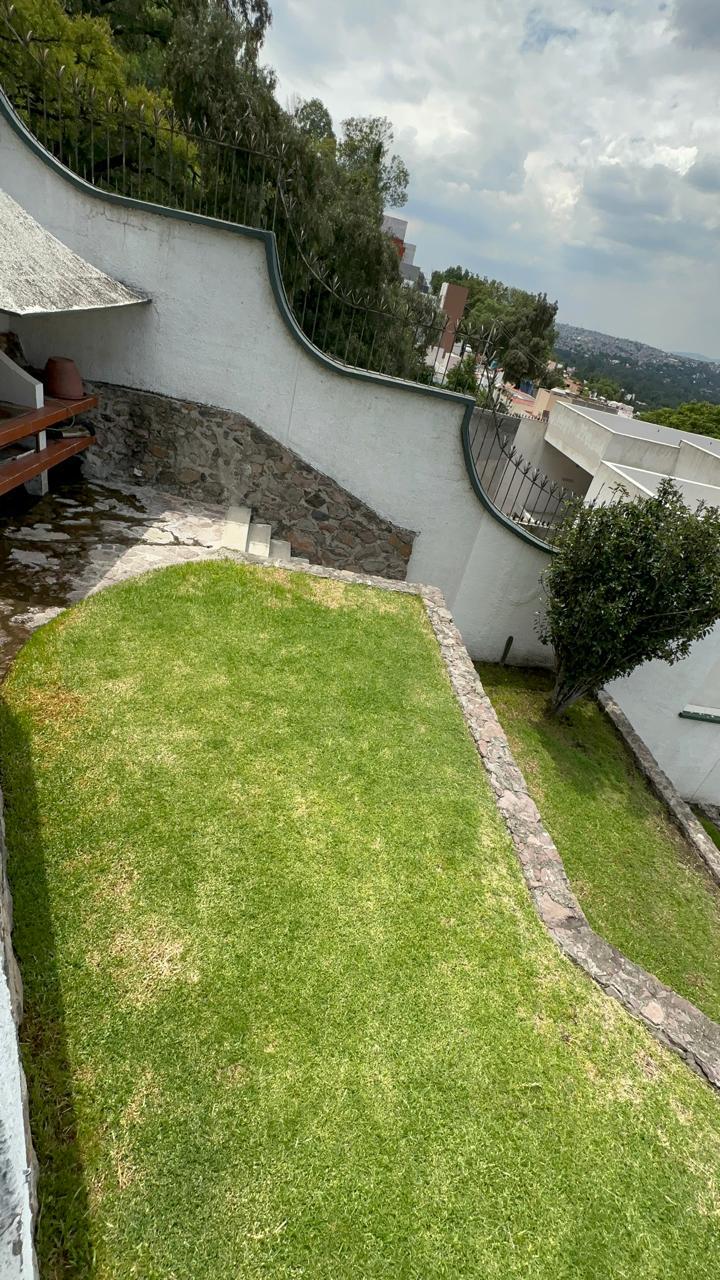40 de 41: jardín