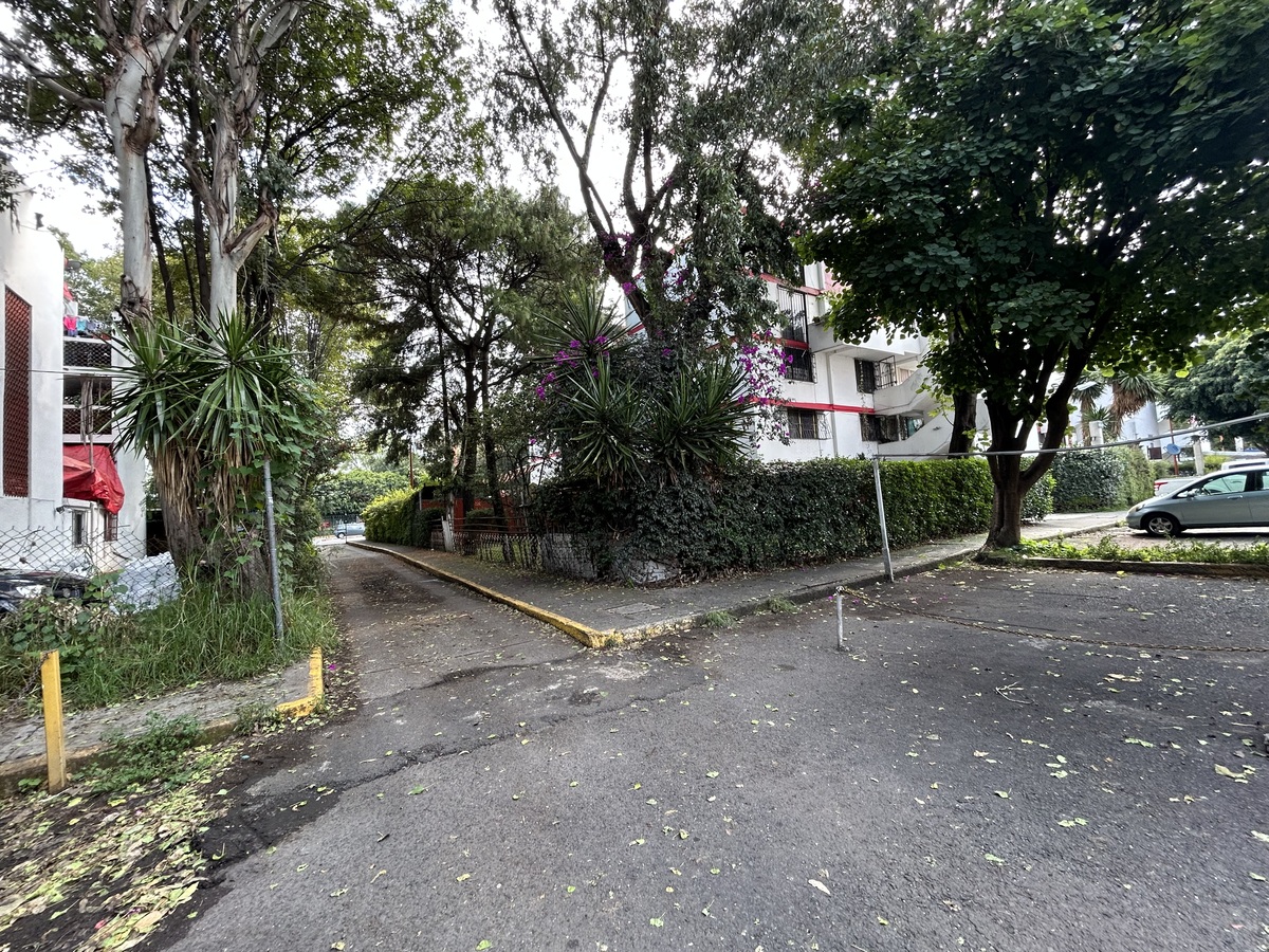 3 de 21