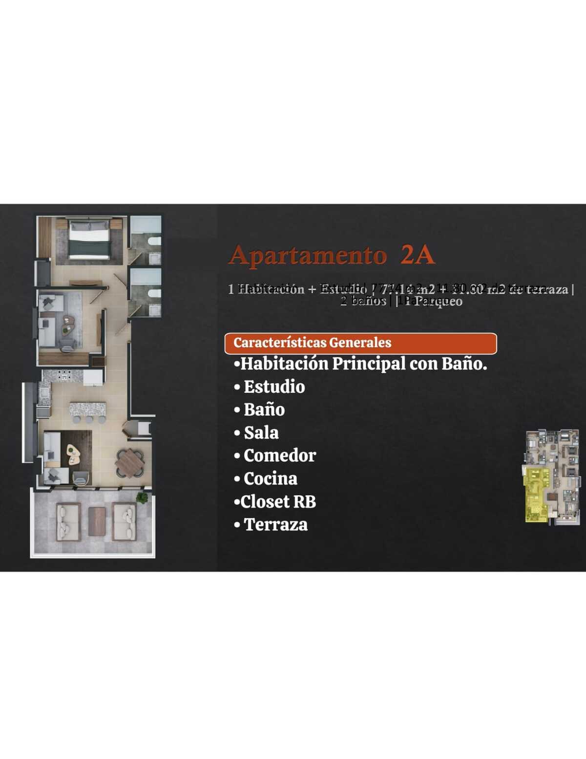 11 de 24