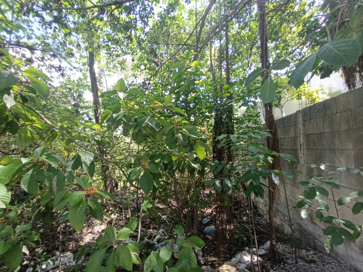 3 de 4