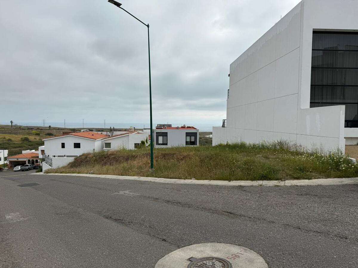 3 de 19