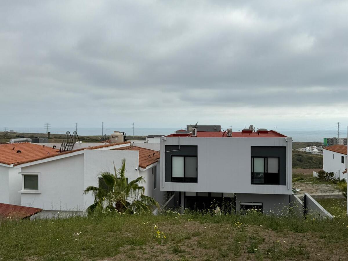 5 de 19