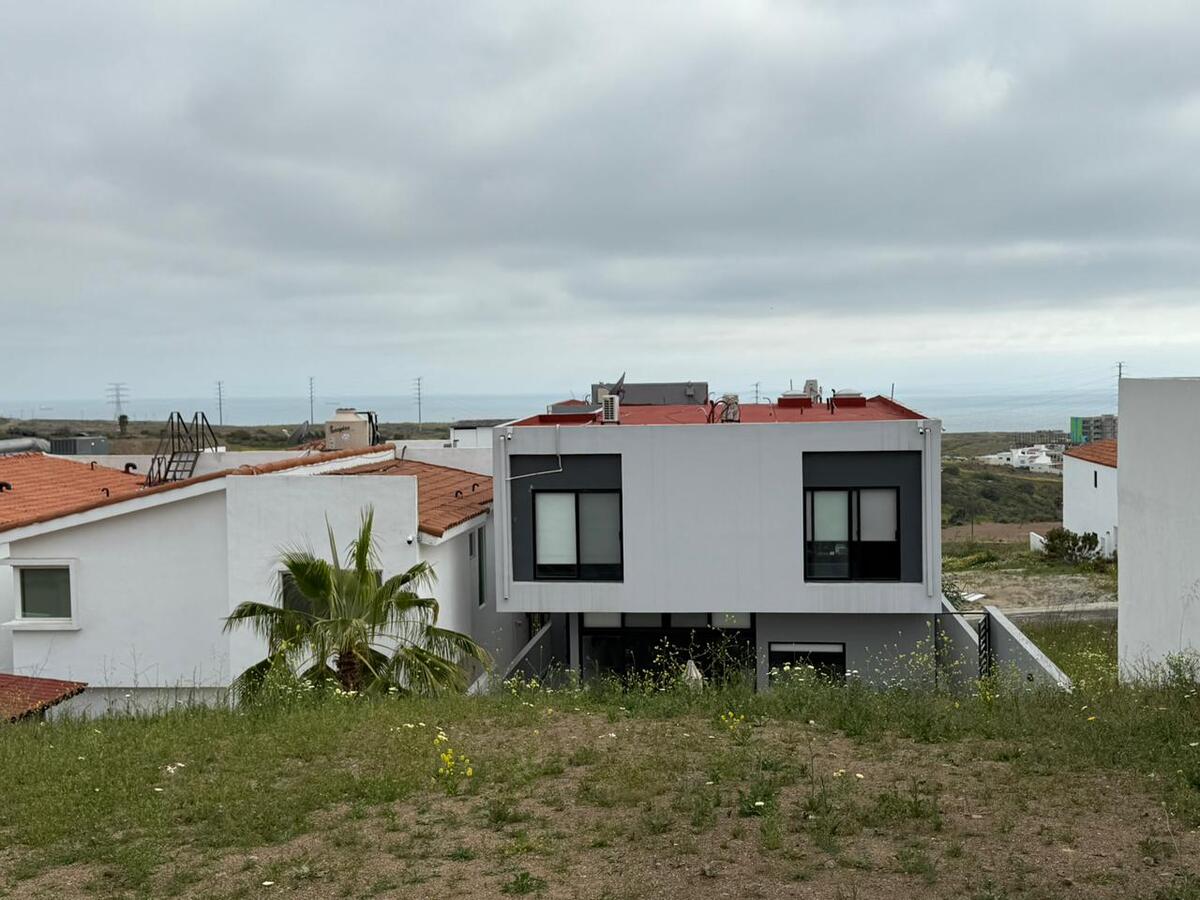 12 de 19