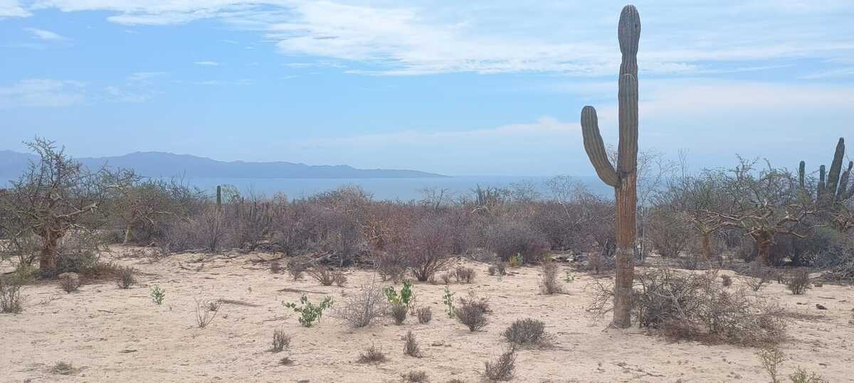 3 de 7