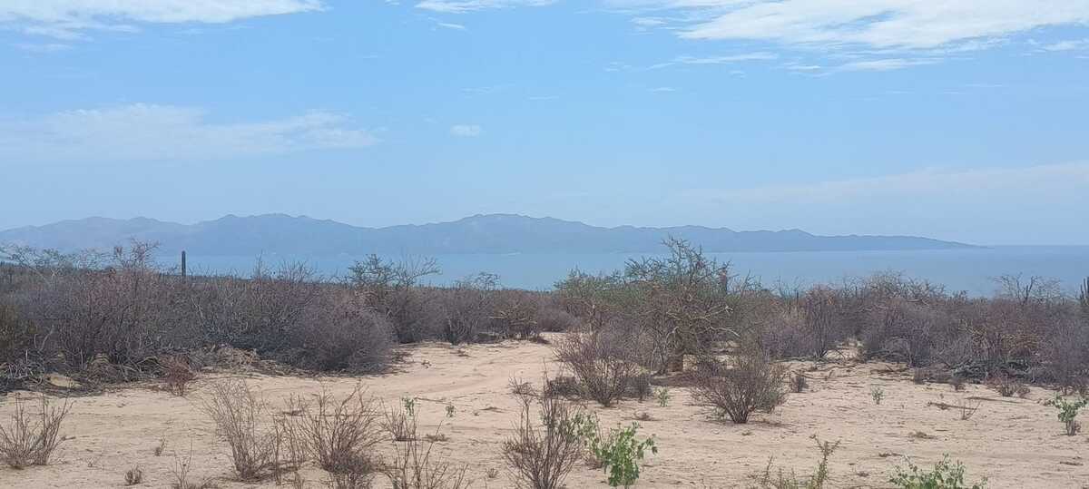 4 de 7
