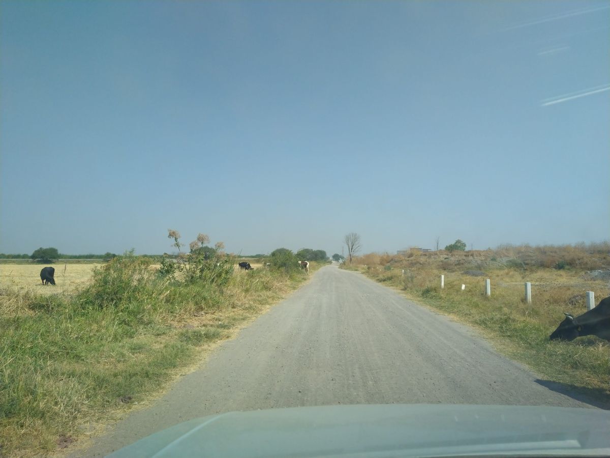 2 de 29