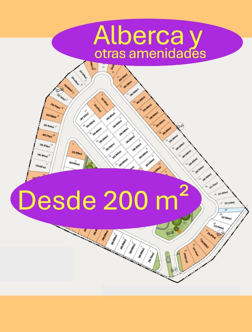 5 de 5