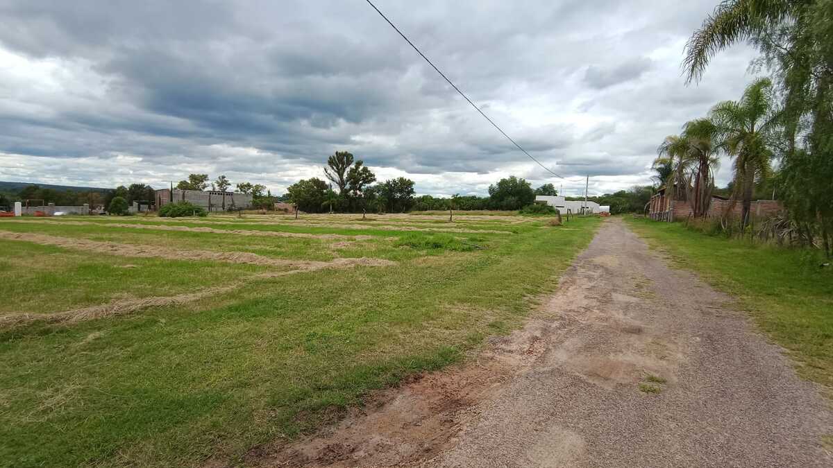 5 de 10
