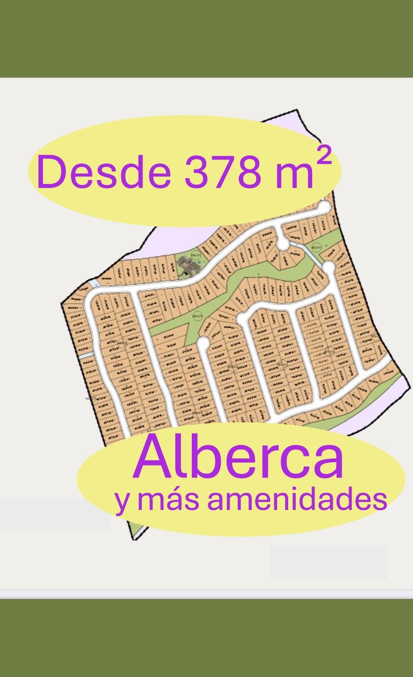5 de 5