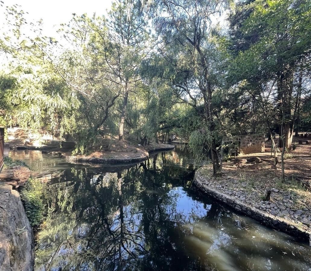 32 de 41: Lago de patos