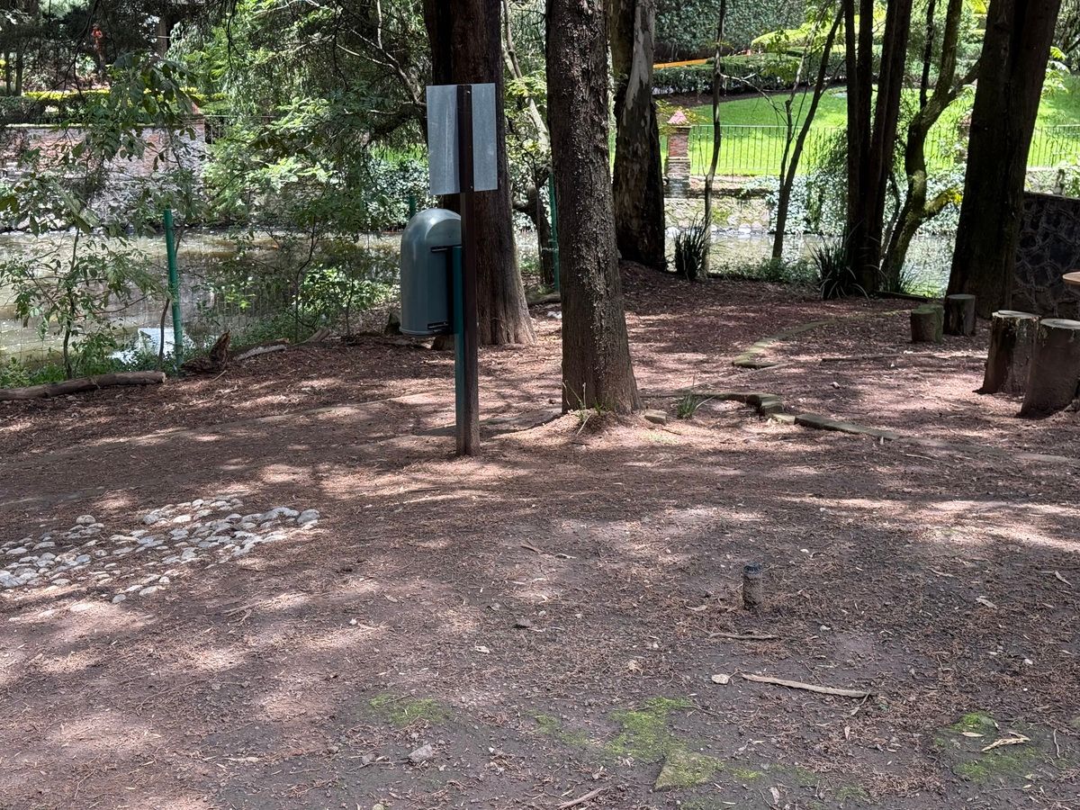 35 de 41: Area de perros