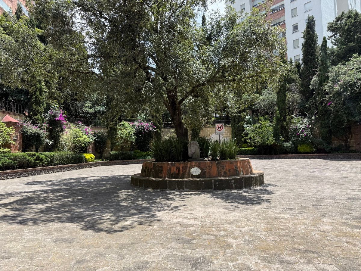 38 de 41: Plaza mexicana