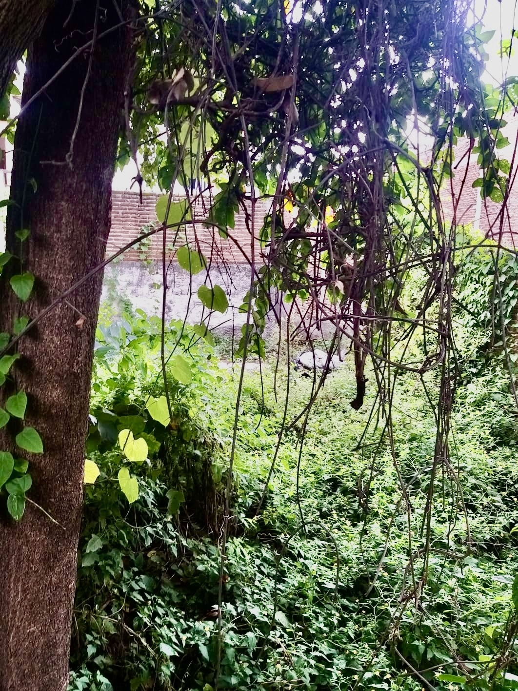 13 de 50
