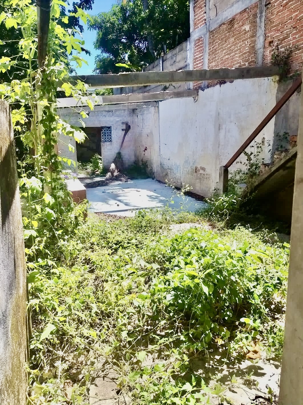 28 de 50