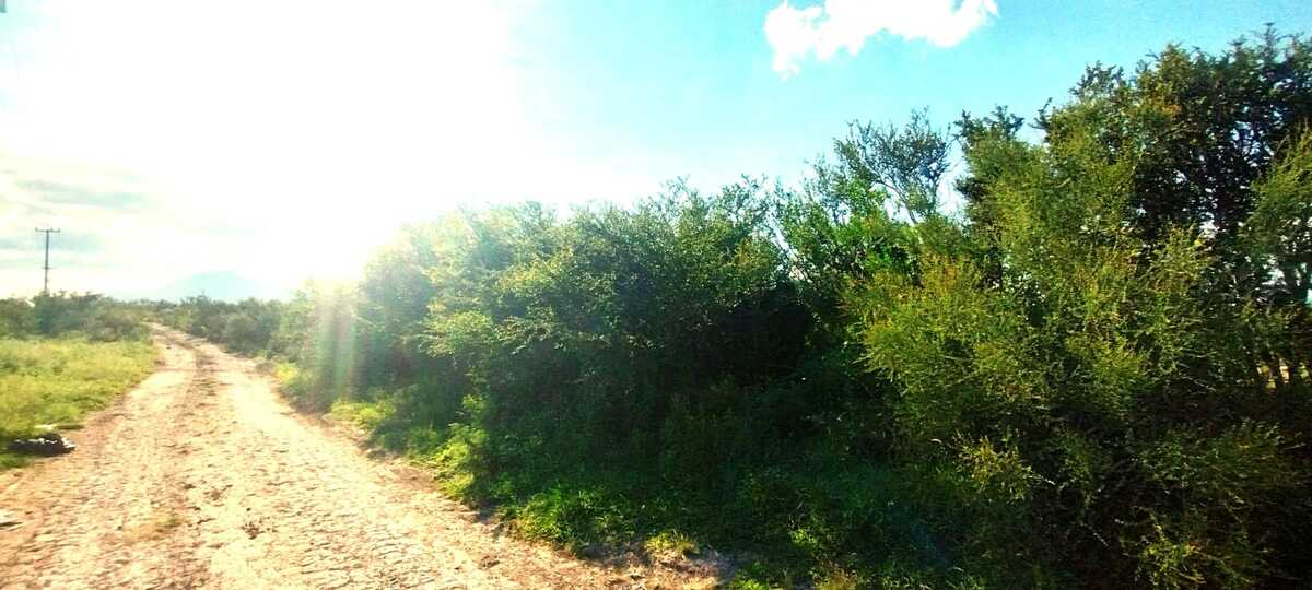 3 de 4