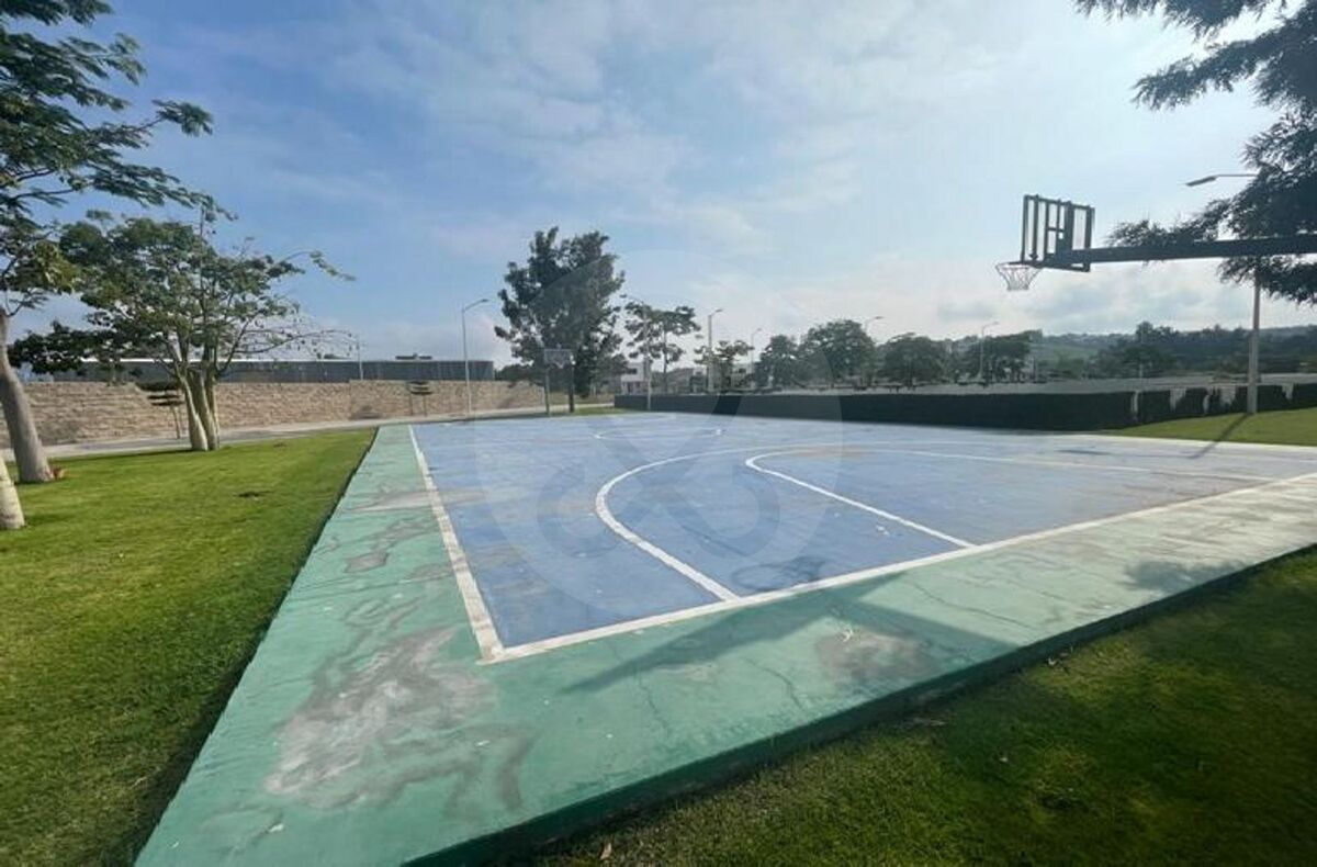 4 de 16