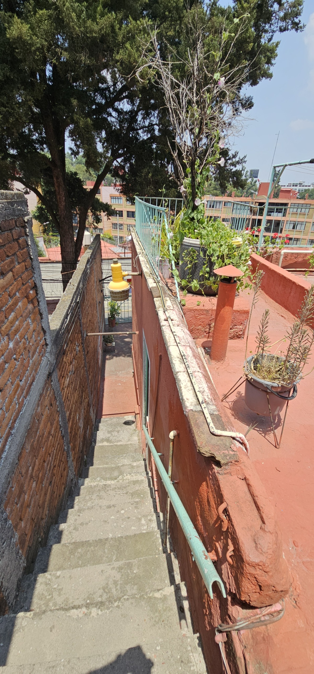 20 de 42