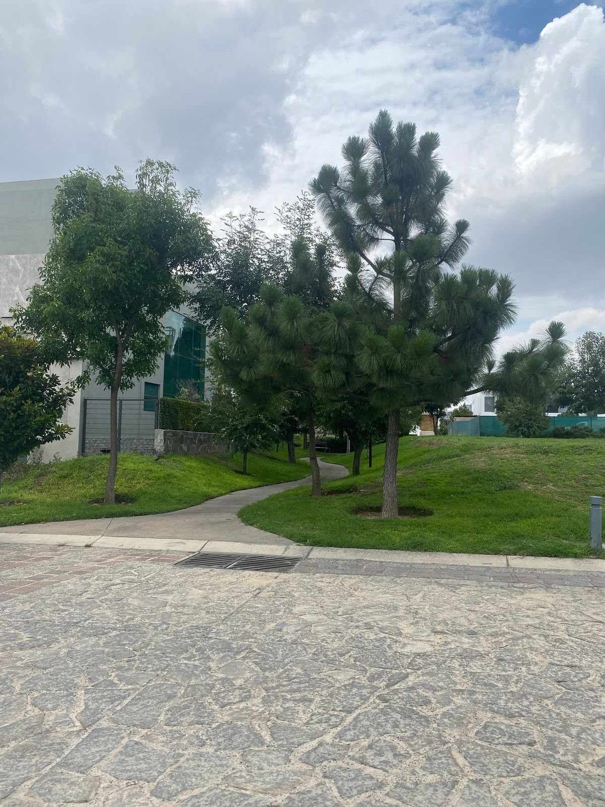 4 de 16: Vista a la calle