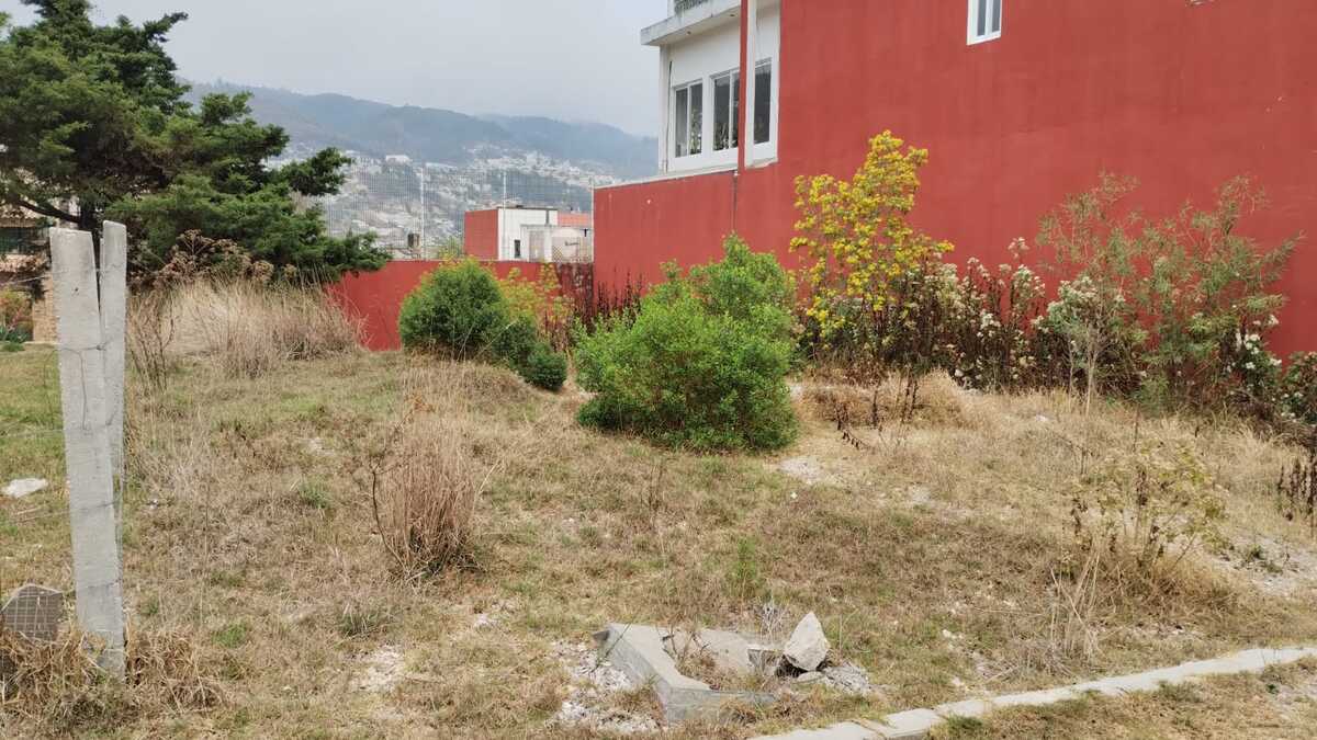 1 de 4: Terreno plano 10x20