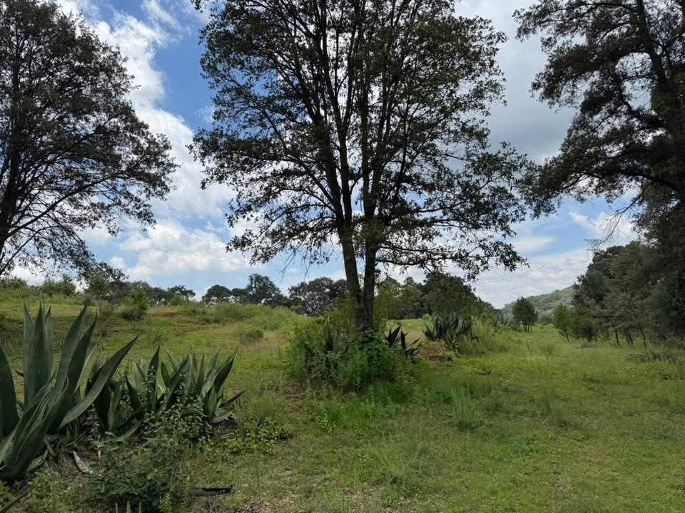 4 de 8