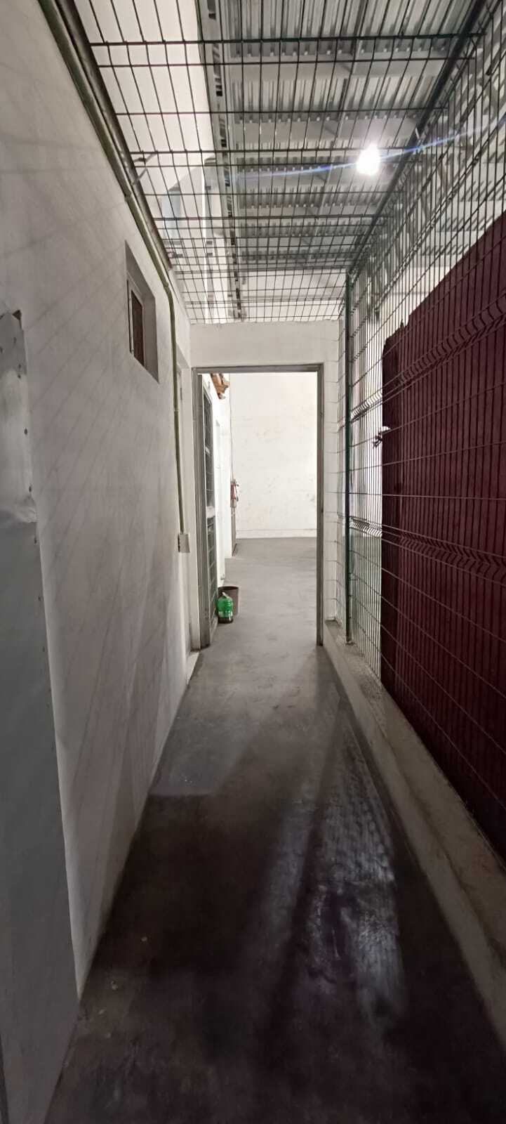 6 of 13